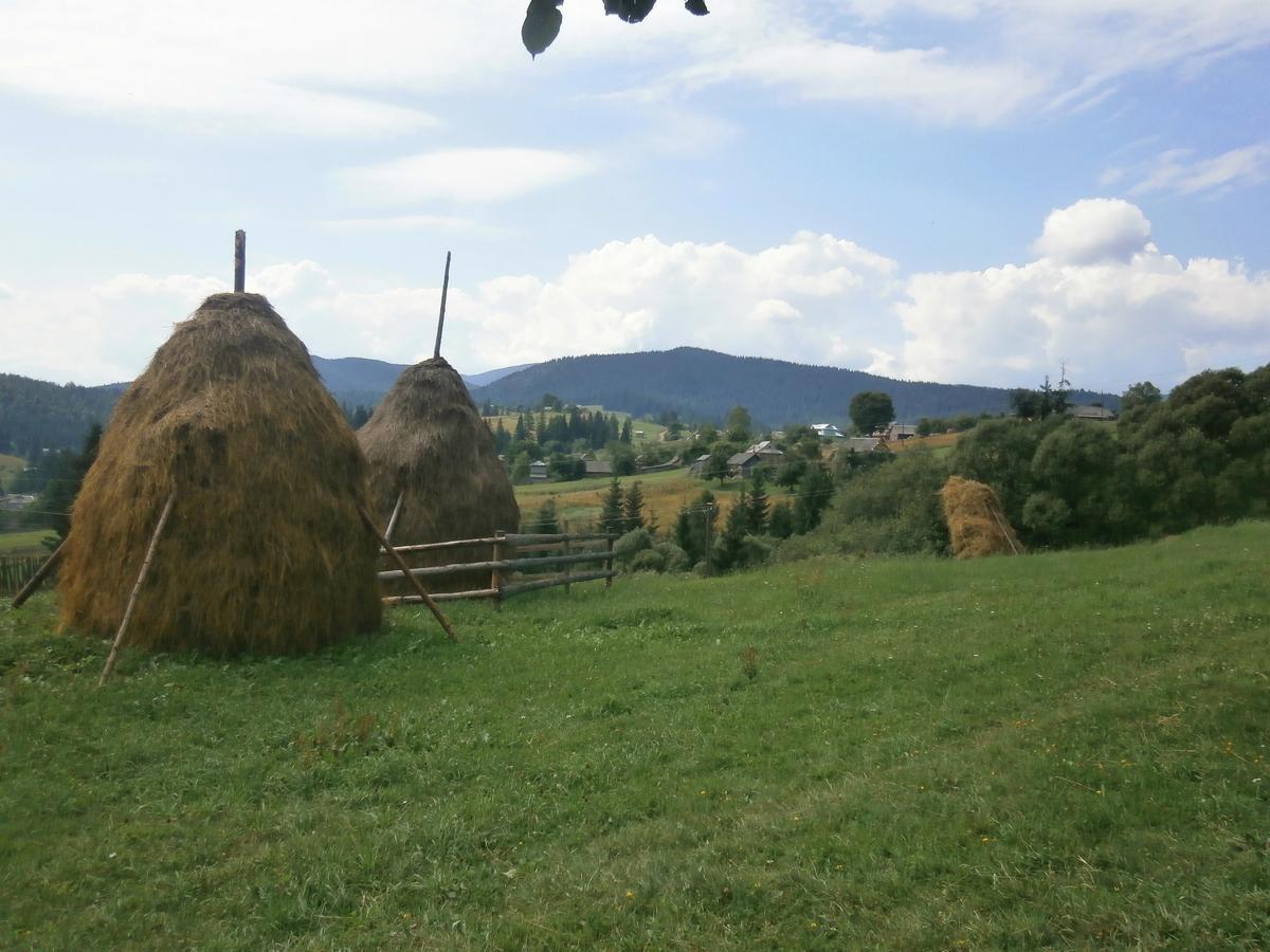 ホテル Na Gorbochku U Natali ボロフタ エクステリア 写真